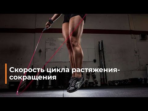 Видео: Прыжковая плиометрика: скорость цикла растяжения-сокращения