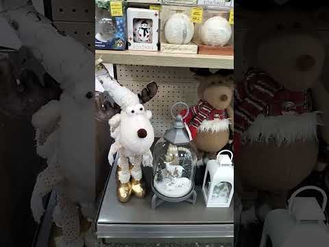 Видео: Утренняя прогулка, магазин "Садовник" , обзор комнатных растений, акция 20% скидка.