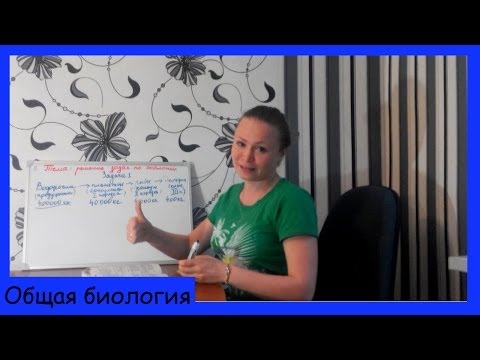 Видео: Задачи на экологическую пирамиду (цепи питания).