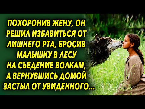 Видео: Вернувшись домой после совершения коварного плана, он побелел от увиденного…