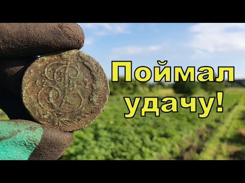 Видео: Поймал удачу! Поиск с NOKTA Anfibio Multi! Фильм 146
