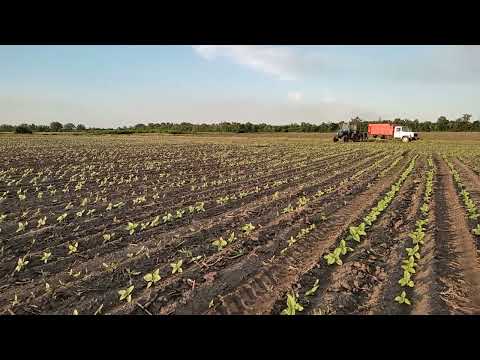 Видео: Розпилювачі ecojet@Ecojet_ua