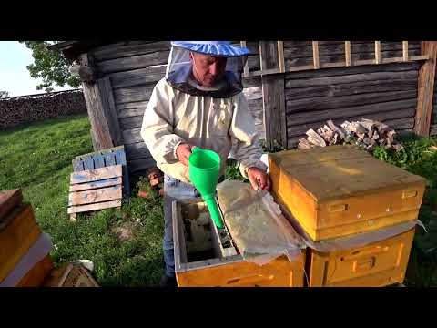 Видео: ОСЕННИЙ ЗАКОРМ ПЧЁЛ