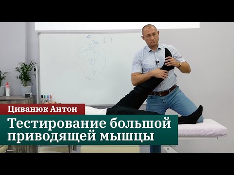 Видео: Тестирование большой приводящей мышцы. Циванюк Антон