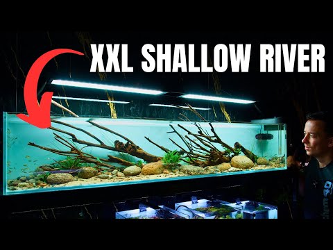 Видео: Я СДЕЛАЛ НЕБОЛЬШОЙ РЕЧНОЙ АКВАРИУМ ДЛЯ МАЛЕНЬКИХ РЫБОК! Учебник по акваскейпу