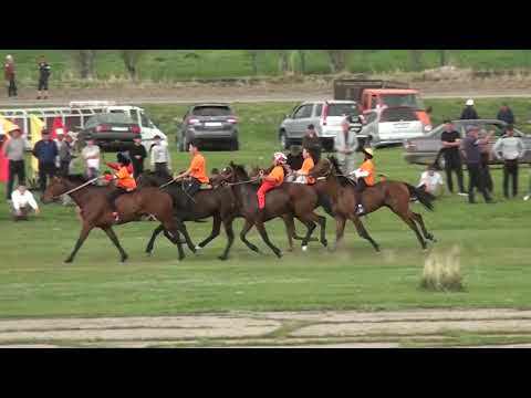 Видео: Аламан