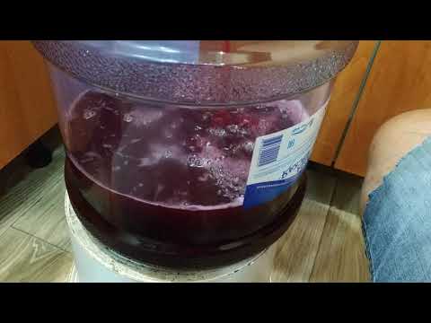 Видео: Задушка в вине, как с ней бороться