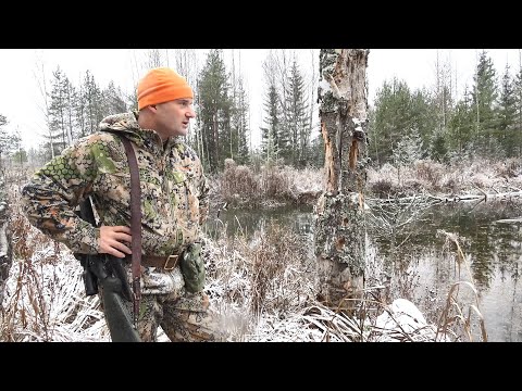 Видео: ЭТА ОХОТА ДОРОЖЕ ЧЕМ НА МЕДВЕДЯ. САМЫЙ ВЫГОДНЫЙ ПРОМЫСЕЛ В 2025 ГОДУ.