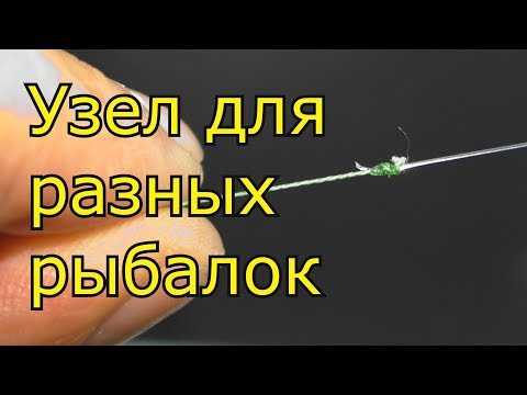 Видео: Этот узел для рыбалки должен знать каждый рыбак. My fishing