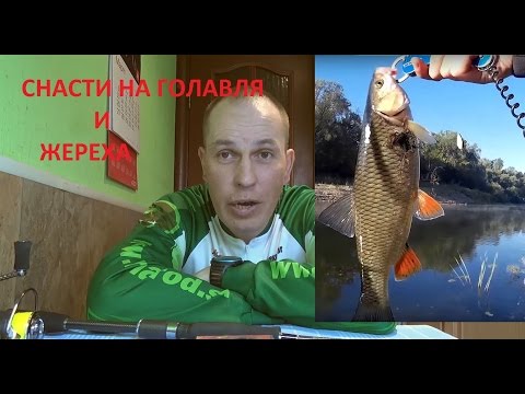 Видео: Ловля голавля и жереха на реке средних размеров - Спиннинг, катушка, плетёнка  Часть 1