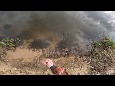 Видео: РЫБАЛКА НА ДОНКИ
