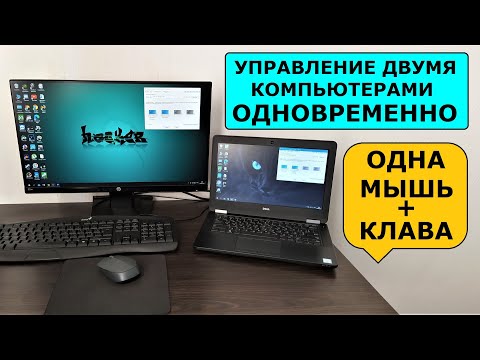 Видео: Как управлять двумя компьютерами одновременно, одна мышь клавиатура