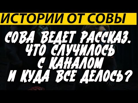 Видео: СОВА ВЕДЕТ РАССКАЗ. ЧТО СЛУЧИЛОСЬ С КАНАЛОМ И КУДА ВСЕ ДЕЛОСЬ?
