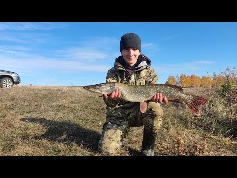 Видео: Осення ловля щуки на живца