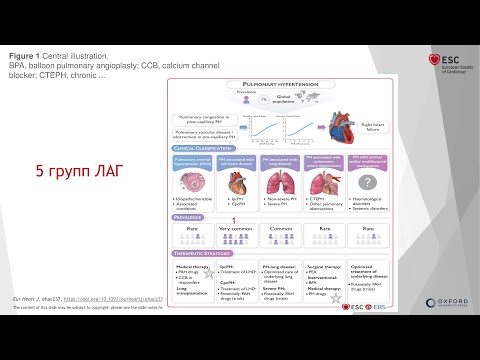 Видео: Легочная гипертензия, определение, классификация, алгоритмы диагностики