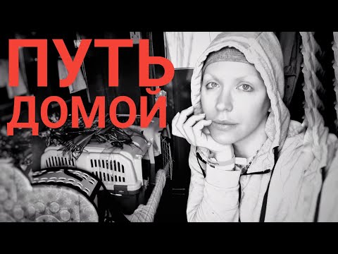Видео: УСЛОВИЯ  в эвакуации и ПУТЬ ДОМОЙ с 😼😼😼😼😼/ Монро 🇺🇦