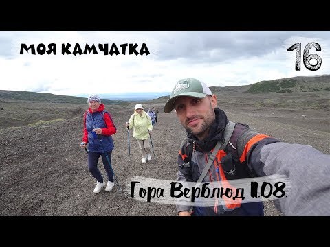 Видео: МОЯ КАМЧАТКА (16 серия) | Восхождение на гору Верблюд 11 августа