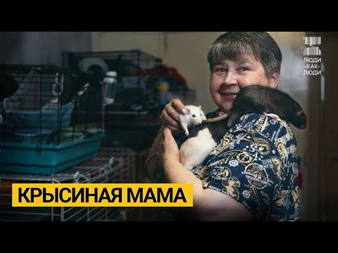 Видео: В моей квартире живут 120 крыс. Крысиная мама.