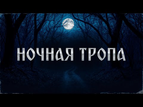 Видео: НОЧНАЯ ТРОПА! Страшные Истории На Ночь!