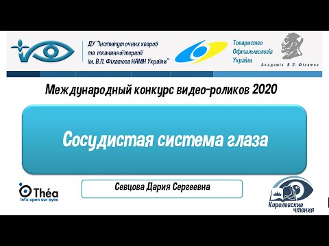 Видео: Сосудистая система глаза