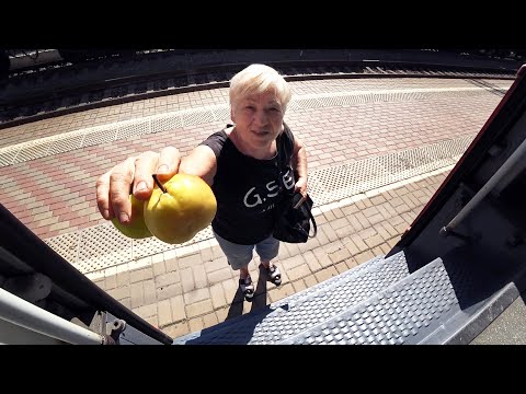 Видео: Уезжаем, а так не хочется! // От бабули просто так не уедешь...