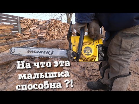 Видео: Бензопила ЧЕМПИОН 256-18 В РАБОТЕ !!!