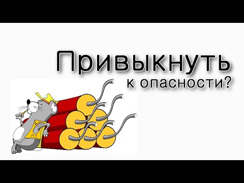 Видео: Можно ли привыкнуть к опасности?