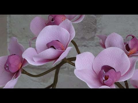 Видео: Орхидея фаленопсис из фоамирана мастер класс (часть 3)