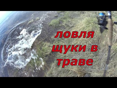 Видео: Ловля щуки в траве. Сезон открыт.