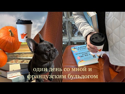 Видео: уютная осень 🍄‍🟫🍂 первый снег, готовлю пасту и поход в новую библиотеку