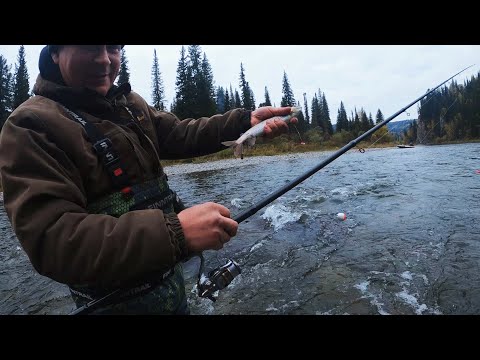 Видео: Осенняя рыбалка на ХАРИУСА!!! Уже год не был на РЫБАЛКЕ!!! +18| Таёжный быт| Отдых| Удачная рыбалка