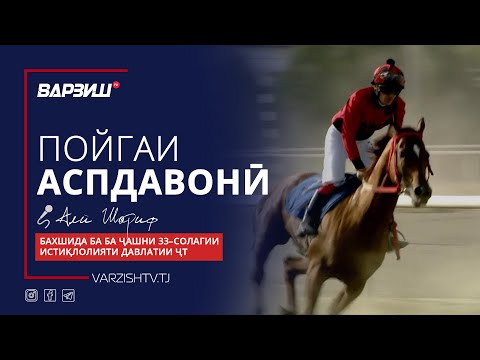 Видео: Пойгаи аспдавонӣ бахшида ба ҷашни 33–солагии Истиқлолияти давлатии Ҷумҳурии Тоҷикистон
