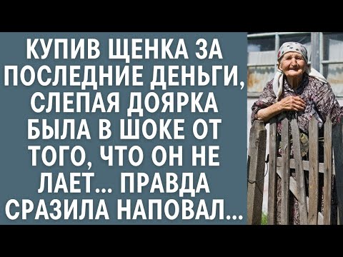 Видео: Купив щенка за последние деньги, слепая доярка была в шоке от того, что он не лает… Правда огорошила
