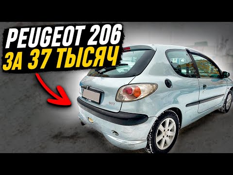 Видео: Peugeot 206 за 37 тысяч рублей!