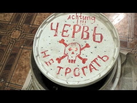 Видео: Как сохранить червей на зиму в квартире.