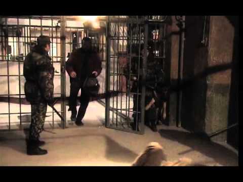 Видео: разбитая судьба