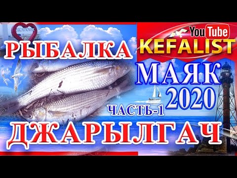 Видео: ДЖАРЫЛГАЧ -  РЫБАЛКА - КЕФАЛЬ - МАЯК 2020 !