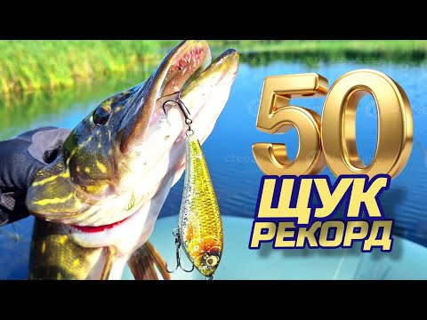 Видео: 📣📣📣 ЦІ ДЖЕРКИ ЩУКА РОЗРИВАЄ 😱📣📣📣