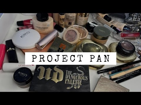 Видео: Project Pan / Проджект Пэн 2025. Отчет и результаты за 8 месяцев 