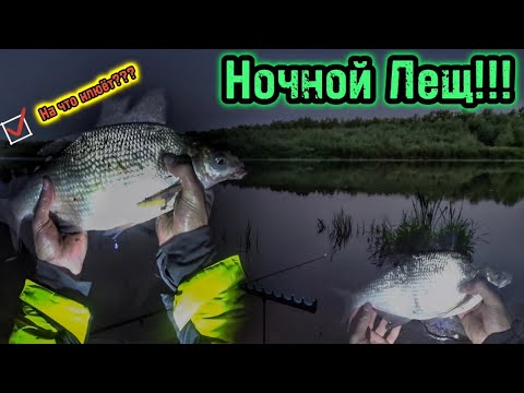 Видео: РЫБАЛКА. В НОЧЬ НА ЛЕЩА! 2023 РЕКА УРАЛ. #рыбалка#река#фидер