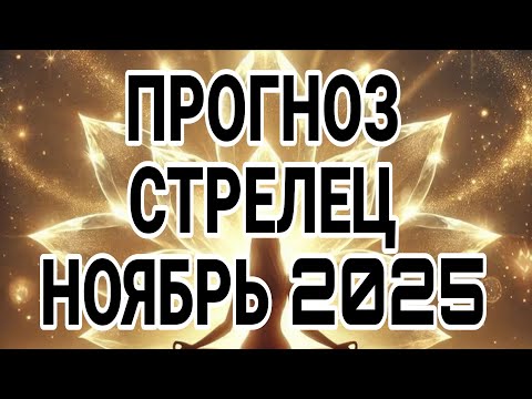 Видео: СТРЕЛЕЦ НОЯБРЬ 2025 ДЛЯ ТЕБЯ ВАЖНАЯ НОВОСТЬ, ЭТО УДИВИТ ТОЧНО!