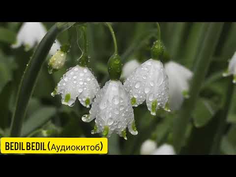 Видео: ЯТИМ (Повест)-Қисми 8
