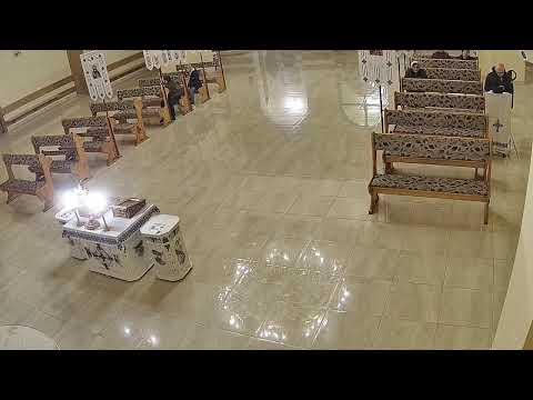 Видео: Трансляція