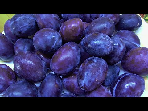 Видео: Дегидратор. Какие блюда я приготовила в дегидраторе и что мне понравилось.