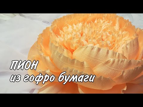 Видео: Большие цветы из бумаги - Пион из гофрированной бумаги