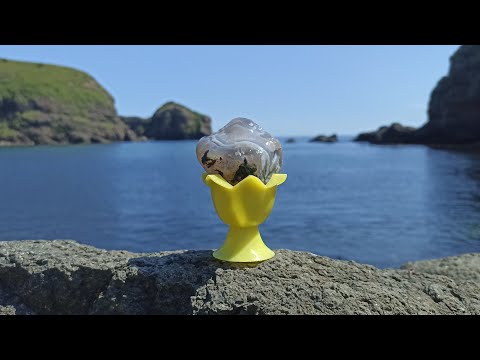 Видео: Прогулка за агатами острова Шикотан.