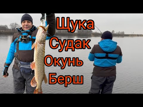 Видео: Ловля ЩУКИ СУДАКА ОКУНЯ поздней ОСЕНЬЮ на СПИННИНГ.