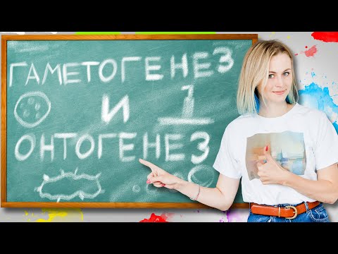 Видео: Гаметогенез! Онтогенез! | ЕГЭ по биологии | Летняя школа | 100балльный репетитор
