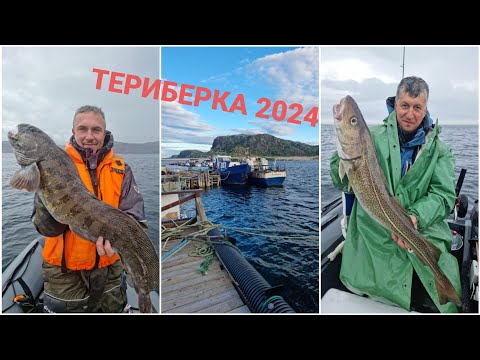 Видео: ТЕРИБЕРКА 2024 Рыбалка  Кольский полуостров