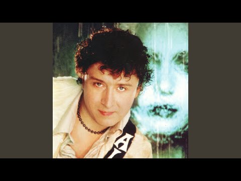 Видео: Кошка